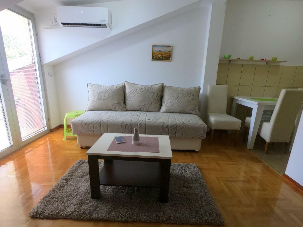 Apartman Zenit Vrnjačka Banja Exteriér fotografie