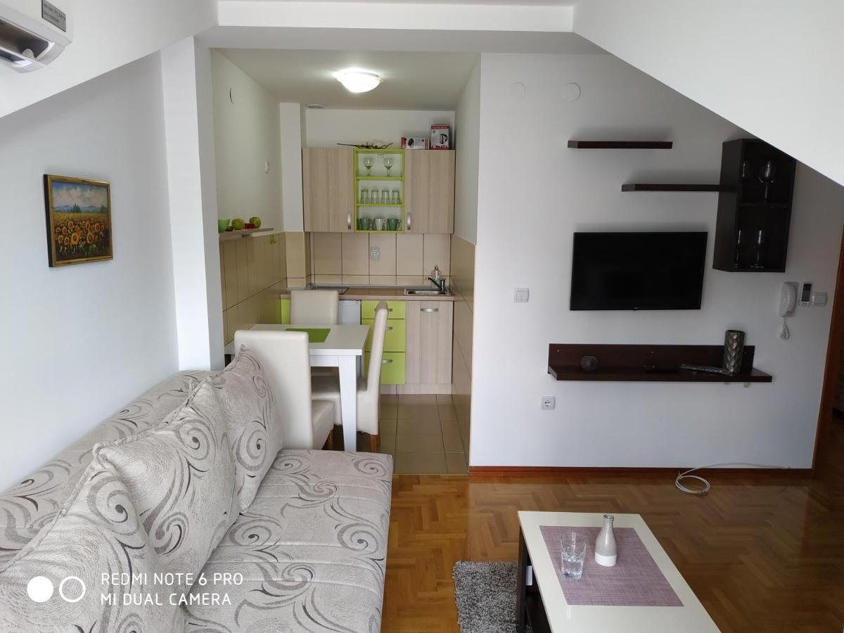 Apartman Zenit Vrnjačka Banja Exteriér fotografie